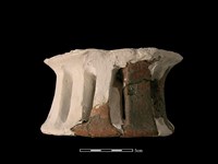 陶片藏品圖，第2張